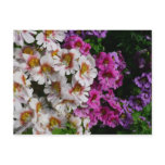Butterfly Flowers White Pink and Purple Postcard