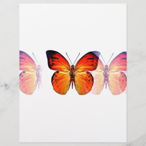 Butterfly Flyer