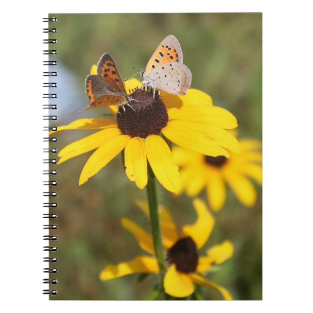 Butterfly Friends Spiral Notebook (Front)