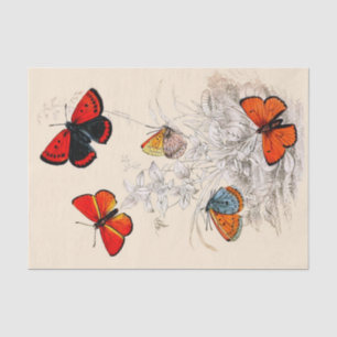 Butterfly Garden 10" X 15" Tissue Paper