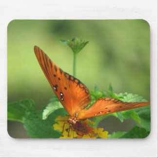 Butterfly Garden Mouse Pad