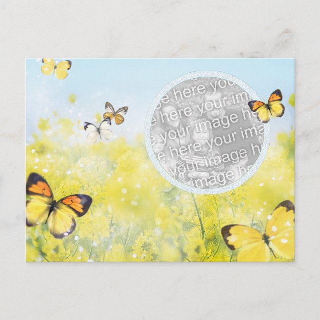 Butterfly Garden Postcard (Front)