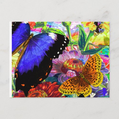 Butterfly Garden Postcard