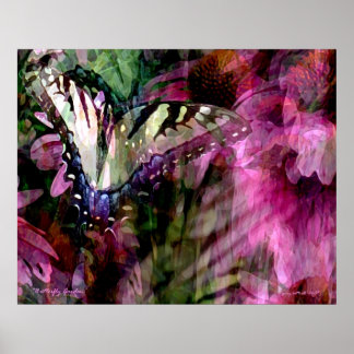 Butterfly Garden Poster