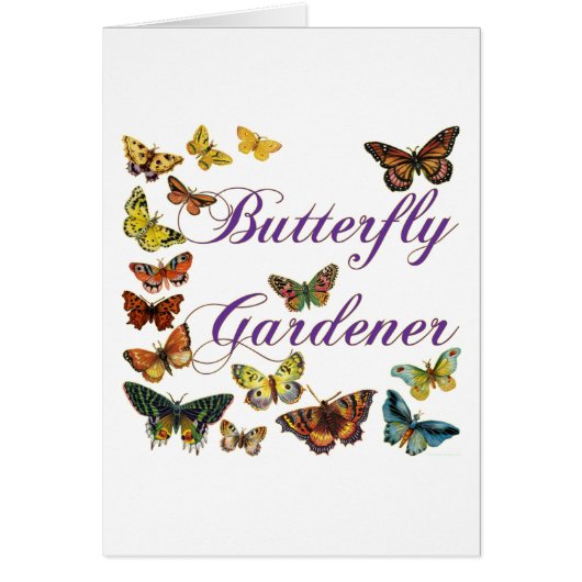 Butterfly Gardener Saying Cards (Front)