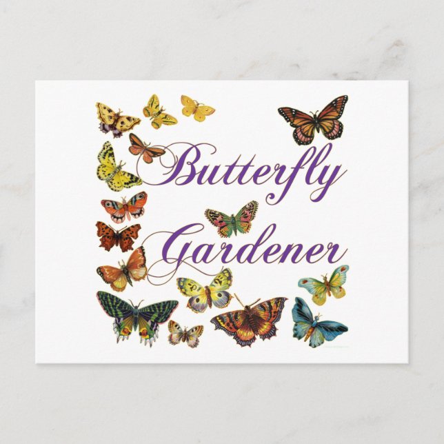 Butterfly Gardener Saying Postcard (Front)