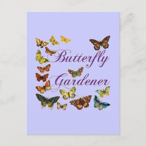 Butterfly Gardener Saying Postcard