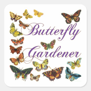 Butterfly Gardener Saying Square Sticker