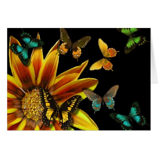 Butterfly Gardens Cards (Front Horizontal)