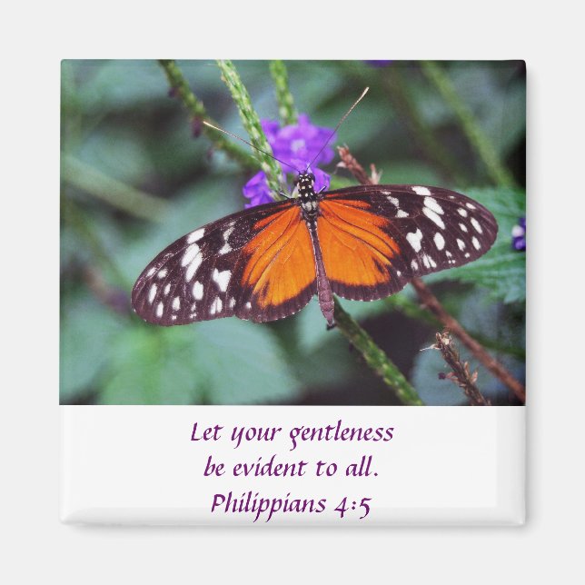 Butterfly - Gentleness Magnet (Front)