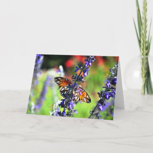 Butterfly Get Well Soon Card