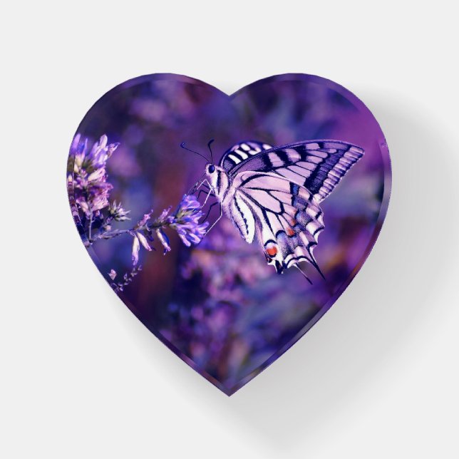 Butterfly Glass Paper Weight (Front)