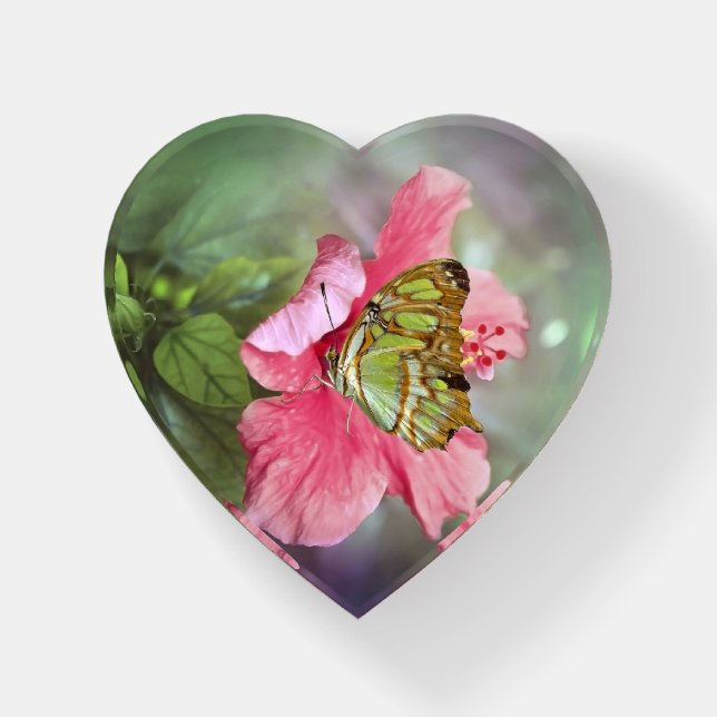 Butterfly Glass Paper Weight (Front)