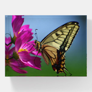 Butterfly Glass Paper Weight
