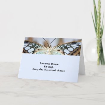 Butterfly Greeting Card by Pictural at Zazzle