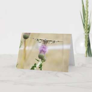 Butterfly Greetings Card