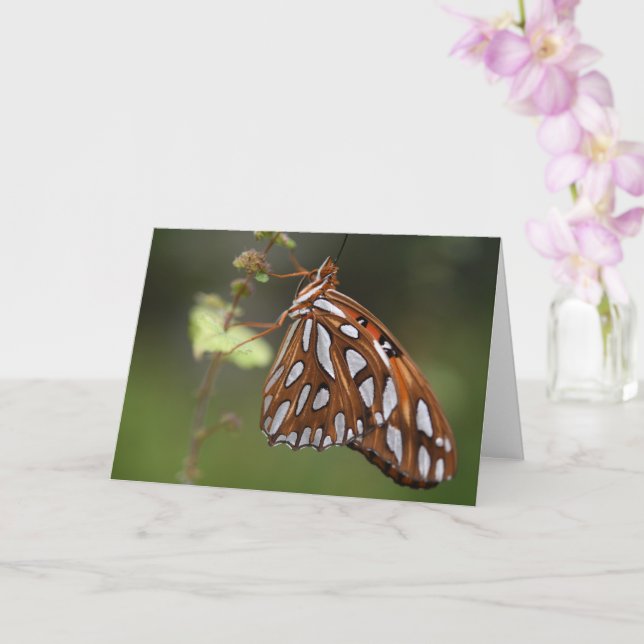 Butterfly Gulf Fritillary Passion Orange Spotted Card (Orchid)