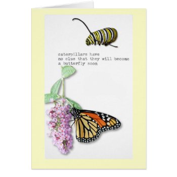 Butterfly Haiku by erinphotodesign at Zazzle