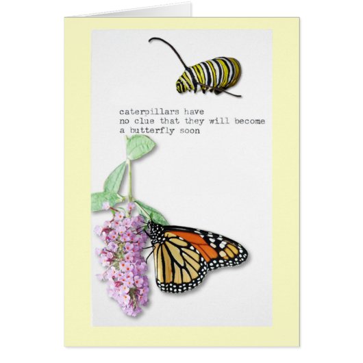 Butterfly Haiku Cards (Front)