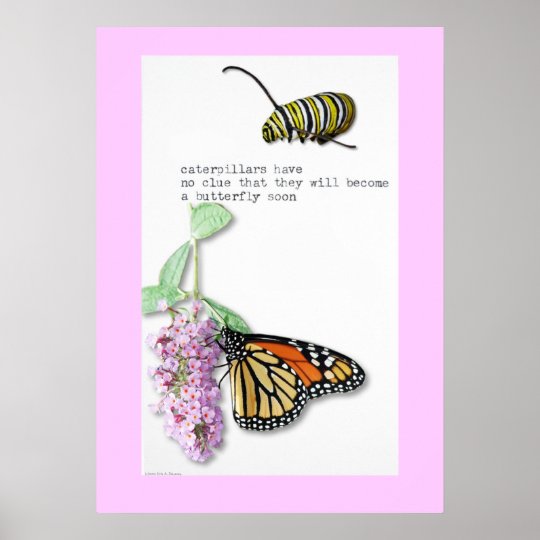 Butterfly Haiku poster