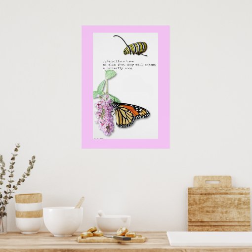 Butterfly Haiku poster Zazzle
