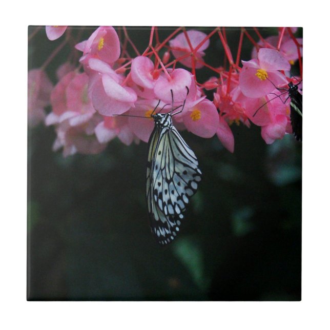Butterfly Hanging from Flowers Ceramic Tile (Front)