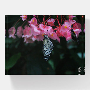 Butterfly Hanging from Flowers Paperweight