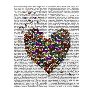 Butterfly Heart Acrylic Print