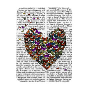 Butterfly Heart Magnet
