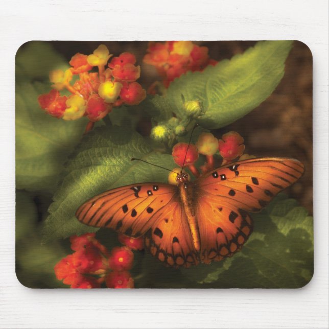 Butterfly - Heliconius Mouse Pad (Front)