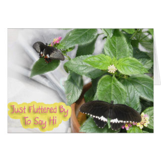 Butterfly-Hi Cards