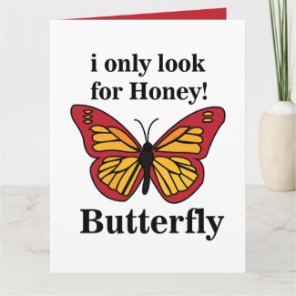 Butterfly I Only Look For Honey Butterfly
