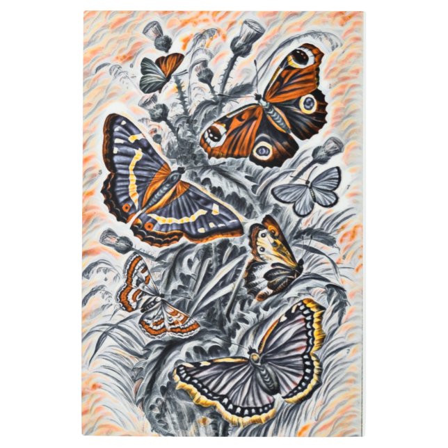 Butterfly illustration  metal print (Front)