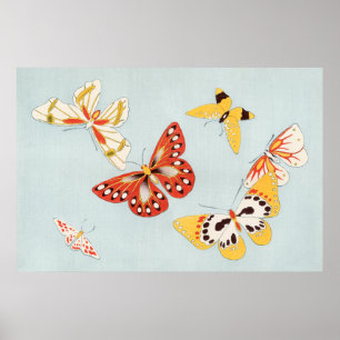 Butterfly Illustration Poster