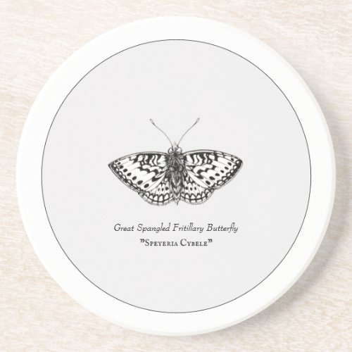 Butterfly Illustration _ Scientific Coaster