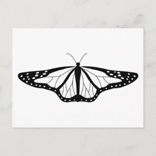 Butterfly Image In Black and White Postcard