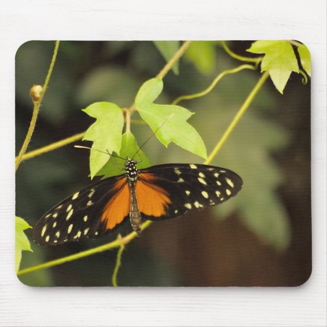 Butterfly in a garden mouse pad (Front)