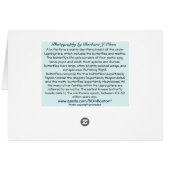 Butterfly in Aqua Cards (Back Horizontal)