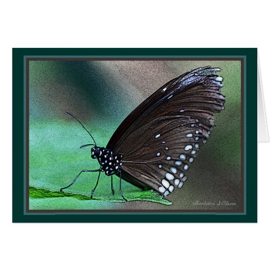 Butterfly in Aqua Cards (Front Horizontal)