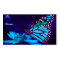 Butterfly in Blue Light Gift Tag