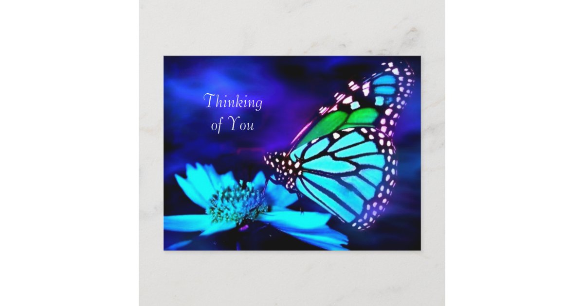 https://rlv.zcache.com/butterfly_in_blue_light_thinking_of_you_postcard-r30f0e7e616014352ae57c99bed9c3375_ucbjp_630.jpg?view_padding=%5B285%2C0%2C285%2C0%5D