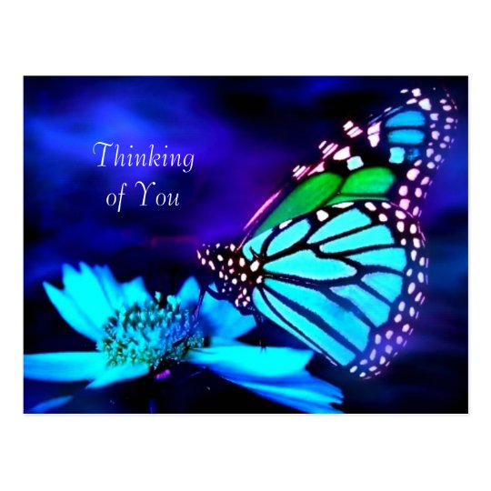 Butterfly in Blue Light - Thinking of You Postcard | Zazzle.com