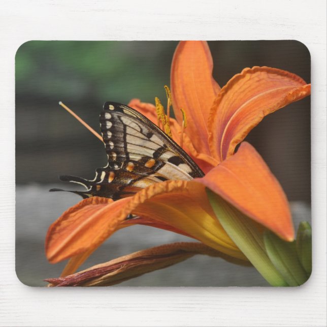 Butterfly in lily mousepad (Front)