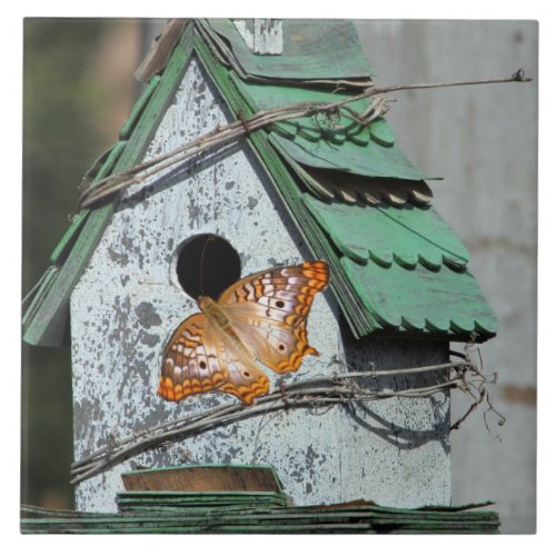 Butterfly in the Birdhouse Tile
