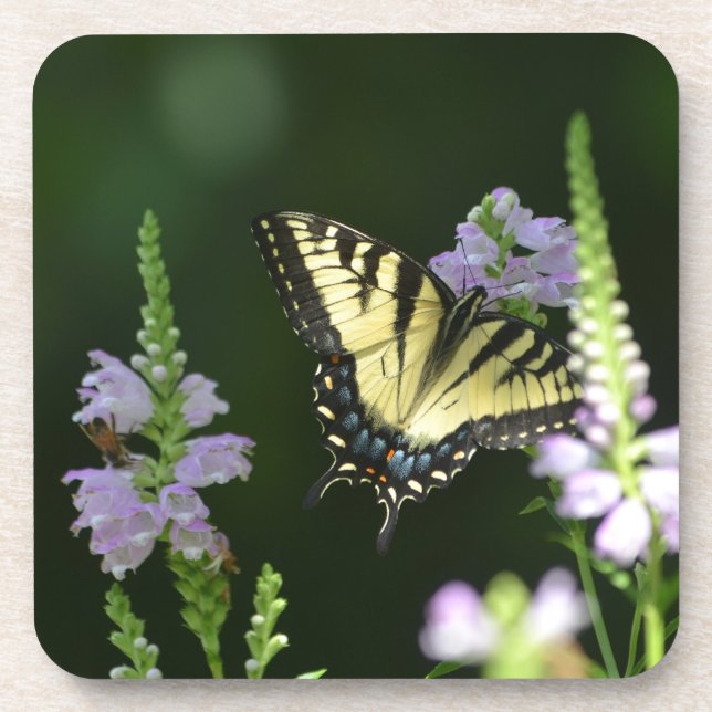 Butterfly In The Garden Drink Coaster (Front)