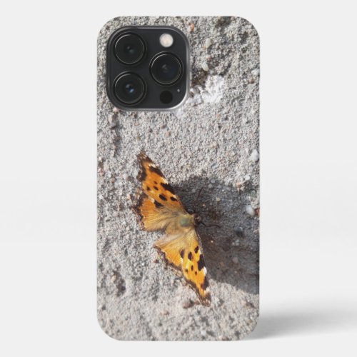 Butterfly in the Sunshine iPhone 13 Pro Case