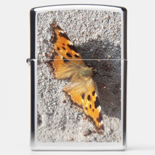 Butterfly in the Sunshine Zippo Lighter