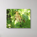 Butterfly in Tropical Leaves Nature Photography Canvas Print