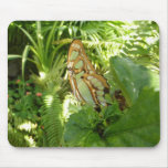 Butterfly in Tropical Leaves Nature Photography Mouse Pad