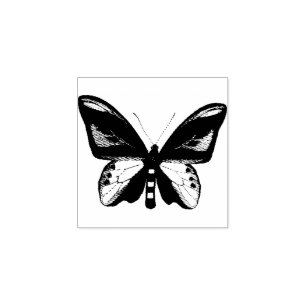 Butterfly Insect Bug Original illustration art Rubber Stamp